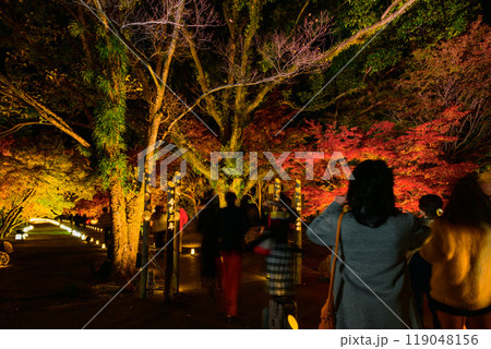 幻想的で美しい日本庭園　ライトアップ紅葉風景「旧細川刑部邸限定公開と紅葉ライトアップ」(熊本市) 119048156
