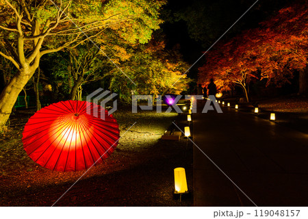 幻想的で美しい日本庭園 ライトアップ紅葉風景「旧細川刑部邸限定公開と紅葉ライトアップ」(熊本市) 幻想的で美しい日本庭園 ライトアップ紅葉風景「旧細川刑部邸限定公開と紅葉ライトアップ」(熊本市) 119048157
