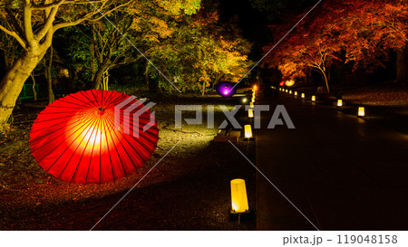 幻想的で美しい日本庭園 ライトアップ紅葉風景「旧細川刑部邸限定公開と紅葉ライトアップ」(熊本市) 幻想的で美しい日本庭園 ライトアップ紅葉風景「旧細川刑部邸限定公開と紅葉ライトアップ」(熊本市) 119048158