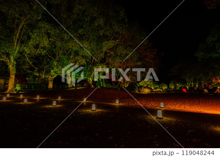 幻想的で美しい日本庭園 ライトアップ紅葉風景「旧細川刑部邸限定公開と紅葉ライトアップ」(熊本市) 幻想的で美しい日本庭園 ライトアップ紅葉風景「旧細川刑部邸限定公開と紅葉ライトアップ」(熊本市) 119048244