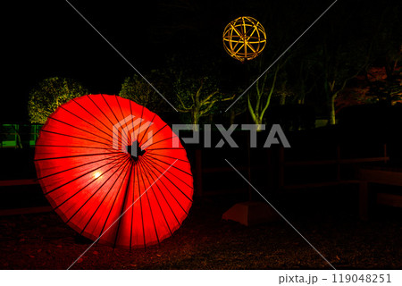 幻想的で美しい日本庭園　ライトアップ紅葉風景「旧細川刑部邸限定公開と紅葉ライトアップ」(熊本市) 119048251