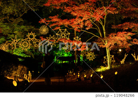 幻想的で美しい日本庭園　ライトアップ紅葉風景「旧細川刑部邸限定公開と紅葉ライトアップ」(熊本市) 119048266