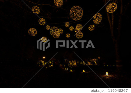 幻想的で美しい日本庭園　ライトアップ紅葉風景「旧細川刑部邸限定公開と紅葉ライトアップ」(熊本市) 119048267