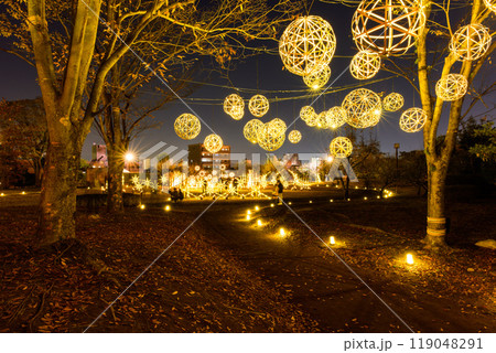 幻想的で美しい日本庭園　ライトアップ竹あかり風景「旧細川刑部邸限定公開と紅葉ライトアップ」(熊本市) 119048291
