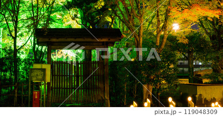 幻想的で美しい日本庭園 ライトアップ紅葉風景「旧細川刑部邸限定公開と紅葉ライトアップ」(熊本市) 幻想的で美しい日本庭園 ライトアップ紅葉風景「旧細川刑部邸限定公開と紅葉ライトアップ」(熊本市) 119048309