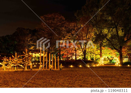 幻想的で美しい日本庭園 ライトアップ紅葉風景「旧細川刑部邸限定公開と紅葉ライトアップ」(熊本市) 幻想的で美しい日本庭園 ライトアップ紅葉風景「旧細川刑部邸限定公開と紅葉ライトアップ」(熊本市) 119048311