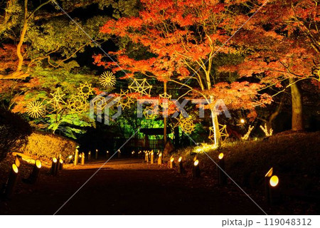 幻想的で美しい日本庭園　ライトアップ紅葉風景「旧細川刑部邸限定公開と紅葉ライトアップ」(熊本市) 119048312