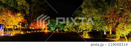 幻想的で美しい日本庭園　ライトアップ紅葉風景「旧細川刑部邸限定公開と紅葉ライトアップ」(熊本市) 119048314
