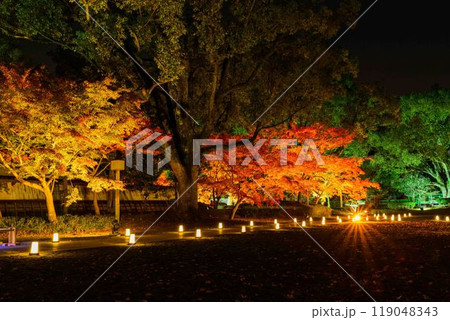 幻想的で美しい日本庭園 ライトアップ竹あかり風景「旧細川刑部邸限定公開と紅葉ライトアップ」(熊本市) 幻想的で美しい日本庭園 ライトアップ竹あかり風景「旧細川刑部邸限定公開と紅葉ライトアップ」(熊本市) 119048343