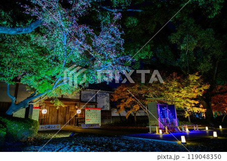 幻想的で美しい日本庭園 ライトアップ紅葉風景「旧細川刑部邸限定公開と紅葉ライトアップ」(熊本市) 幻想的で美しい日本庭園 ライトアップ紅葉風景「旧細川刑部邸限定公開と紅葉ライトアップ」(熊本市) 119048350