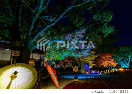 幻想的で美しい日本庭園 ライトアップ紅葉風景「旧細川刑部邸限定公開と紅葉ライトアップ」(熊本市) 幻想的で美しい日本庭園 ライトアップ紅葉風景「旧細川刑部邸限定公開と紅葉ライトアップ」(熊本市) 119048351