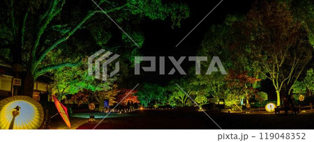 幻想的で美しい日本庭園　ライトアップ紅葉風景「旧細川刑部邸限定公開と紅葉ライトアップ」(熊本市) 119048352