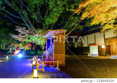 幻想的で美しい日本庭園 ライトアップ紅葉風景「旧細川刑部邸限定公開と紅葉ライトアップ」(熊本市) 幻想的で美しい日本庭園 ライトアップ紅葉風景「旧細川刑部邸限定公開と紅葉ライトアップ」(熊本市) 119048354