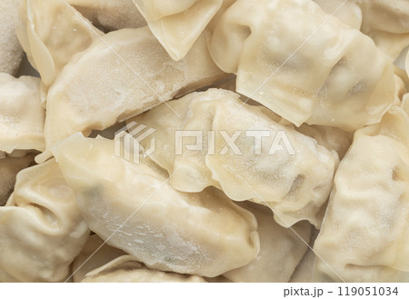 Close-up of Frozen Gyoza, Japanese Food Close-up of Frozen Gyoza, Japanese Food 119051034