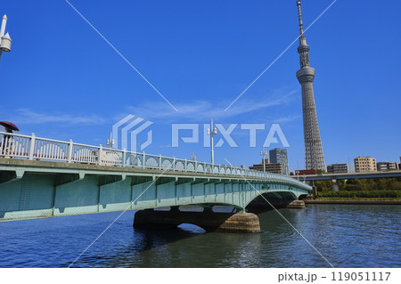 言問橋と東京スカイツリー 119051117