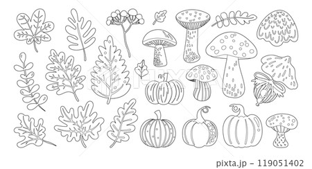 Set of isolated cute Fall elements in doodle hand drawn style on a transparent background. Vol.2 : Mushrooms series in Black outline 119051402