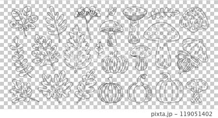 Set of isolated cute Fall elements in doodle hand drawn style on a transparent background. Vol.2 : Mushrooms series in Black outline 119051402