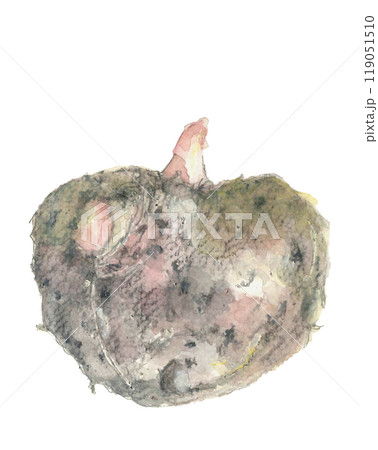 水彩で描いたコンニャク芋のイラスト【手描き】白バック コピースペースあり 119051510