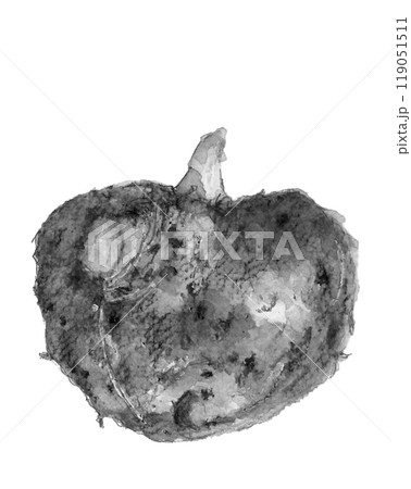 水墨画風に水彩で描いたコンニャク芋のモノトーンイラスト【手描き】白バック コピースペースあり 119051511