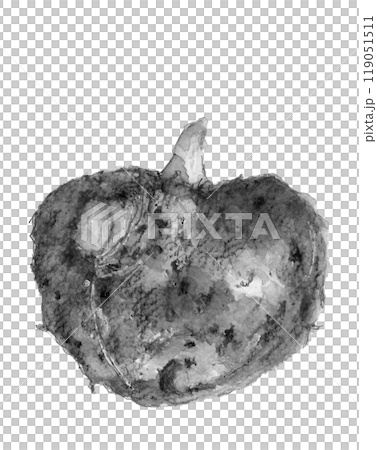 水墨画風に水彩で描いたコンニャク芋のモノトーンイラスト【手描き】白バック コピースペースあり 119051511