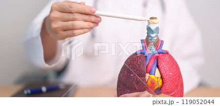Doctor pointing Hyoid Bond of Respiratory system anatomy for Diseases. Lung Cancer, Asthma, Chronic Obstructive Pulmonary or COPD, Bronchitis, Emphysema, Cystic Fibrosis, Bronchiectasis and Pneumonia Doctor pointing Hyoid Bond of Respiratory system anatomy for Diseases. Lung Cancer, Asthma, Chronic Obstructive Pulmonary or COPD, Bronchitis, Emphysema, Cystic Fibrosis, Bronchiectasis and Pneumonia 119052044