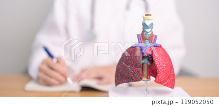 Doctor with Smoker and normal Lung anatomy for Disease. Lung Cancer, Asthma, Chronic Obstructive Pulmonary or COPD, Bronchitis, Emphysema, Cystic Fibrosis, Bronchiectasis, Pneumonia and world Lung day 119052050