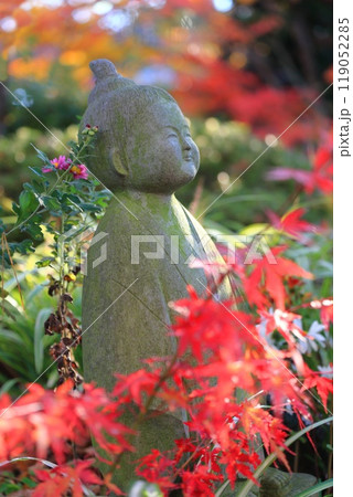 薬師寺 紅葉と観音様 東京都足立区伊興 薬師寺 紅葉と観音様 東京都足立区伊興 119052285