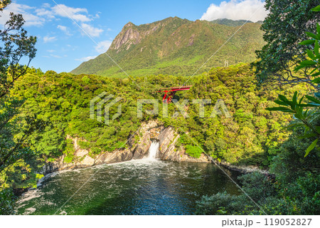世界自然遺産モッチョム岳とトローキの滝 屋久島(秋 世界自然遺産モッチョム岳とトローキの滝 屋久島(秋 119052827