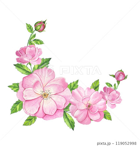 Bouquet with pink tea rose. Hand drawn watercolor illustration 119052998