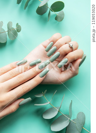 Elegant green manicure with long nails showcased against a mint background Elegant green manicure with long nails showcased against a mint background 119053020