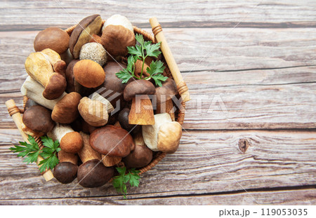 A vibrant assortment of fresh mushrooms collected in a basket displayed on rustic wooden surface 119053035