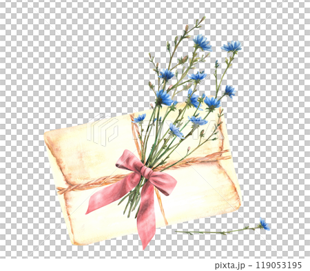 Bouquet of wild flowers tied with a red bow to a vintage letter. Blue chicory flowers with meadow green herbs. Love message, gift clipart. Watercolor hand drawn illustration. Isolated from background Bouquet of wild flowers tied with a red bow to a vintage letter. Blue chicory flowers with meadow green herbs. Love message, gift clipart. Watercolor hand drawn illustration. Isolated from background 119053195