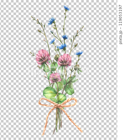 Wildflower bouquet tied with a cord Field pink clover, blue chicory flowers and buds, meadow herbs. Bunch of summer greenery Watercolor hand drawn illustration. Floral clipart Isolated from background Wildflower bouquet tied with a cord Field pink clover, blue chicory flowers and buds, meadow herbs. Bunch of summer greenery Watercolor hand drawn illustration. Floral clipart Isolated from background 119053197