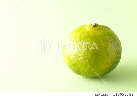 シークワーサーの単品撮影 119053382