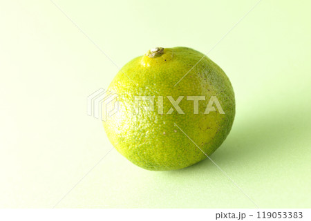 シークワーサーの単品撮影 119053383