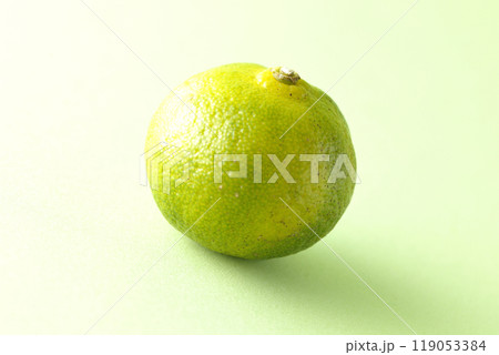 シークワーサーの単品撮影 119053384
