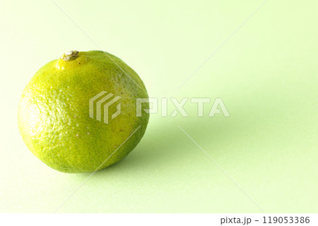 シークワーサーの単品撮影 119053386