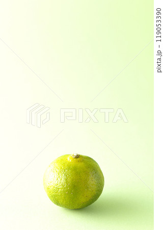 シークワーサーの単品撮影 119053390