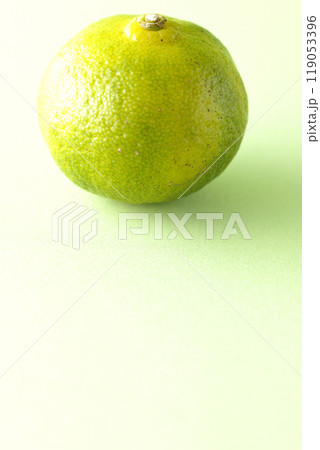 シークワーサーの単品撮影 119053396