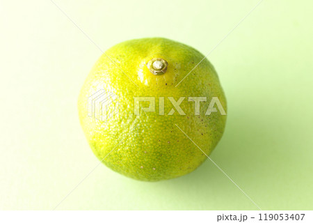 シークワーサーの単品撮影 119053407