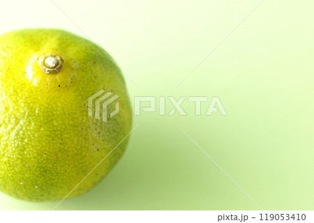 シークワーサーの単品撮影 119053410