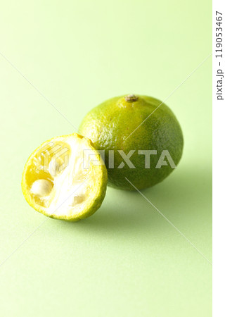 シークワーサー 119053467