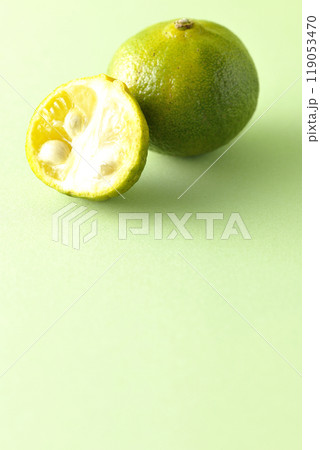 シークワーサー シークワーサー 119053470