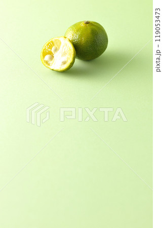 シークワーサー 119053473