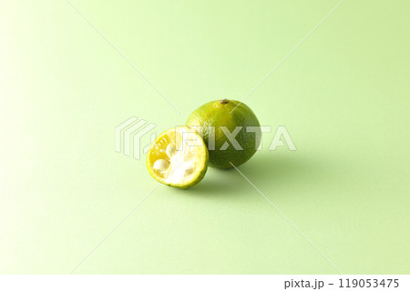 シークワーサー 119053475