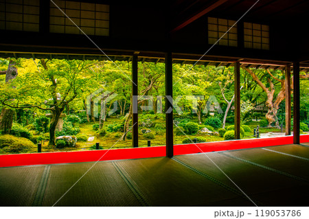 【京都風景】圓光寺　静寂さに包まれた絶景の庭 119053786