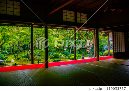 【京都風景】圓光寺　静寂さに包まれた絶景の庭 119053787