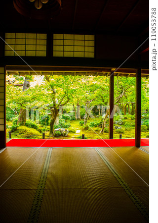 【京都風景】圓光寺　静寂さに包まれた絶景の庭 119053788