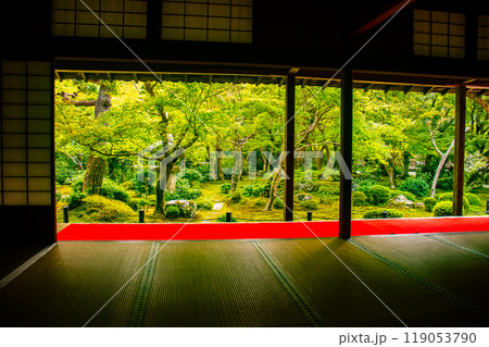 【京都風景】圓光寺　静寂さに包まれた絶景の庭 119053790