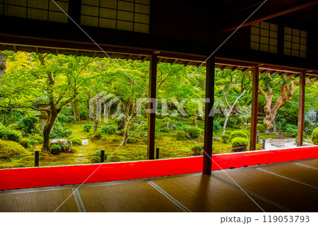 【京都風景】圓光寺 静寂さに包まれた絶景の庭 【京都風景】圓光寺 静寂さに包まれた絶景の庭 119053793